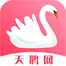 天鹅网(文章转发平台)
